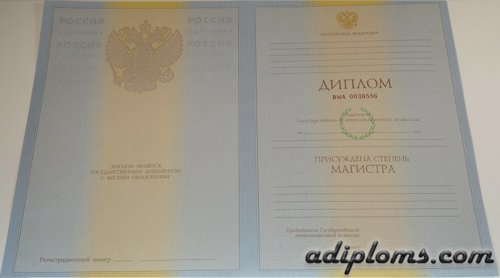 Диплом магистра 2004-2009 Фото